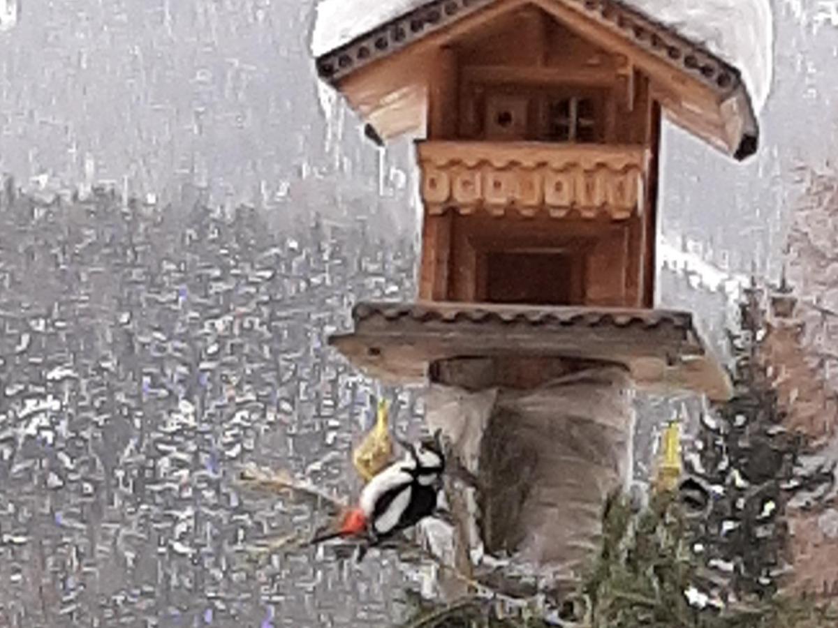 Pension Fürhapter mit Bio- Bauernhof Sankt Jakob in Defereggen Exterior foto