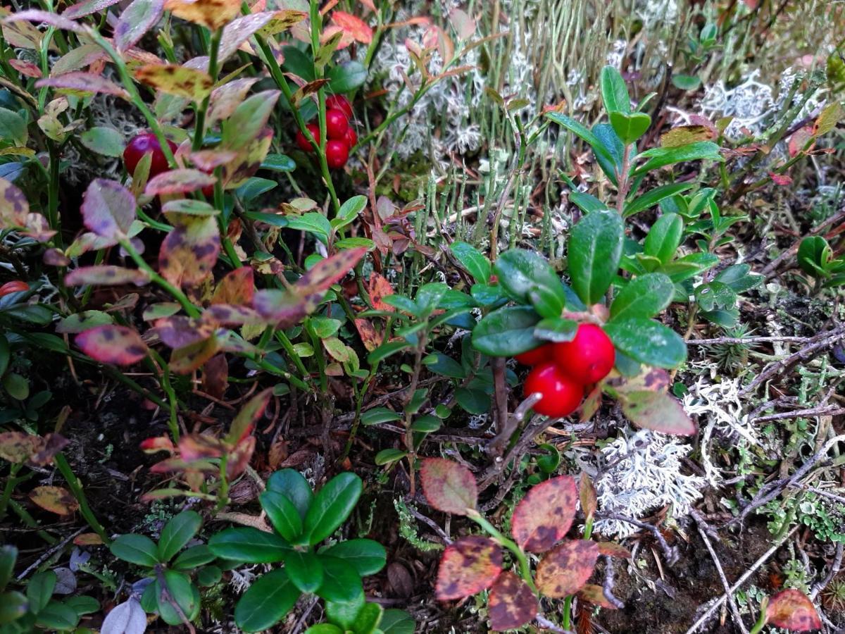 Pension Fürhapter mit Bio- Bauernhof Sankt Jakob in Defereggen Exterior foto