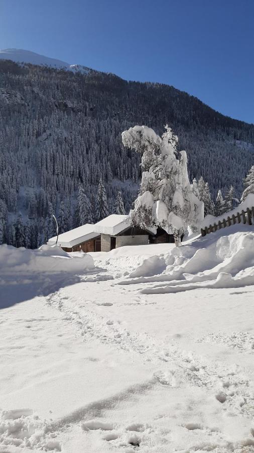 Pension Fürhapter mit Bio- Bauernhof Sankt Jakob in Defereggen Exterior foto